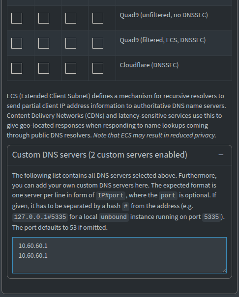 pihole custom DNS server configuration