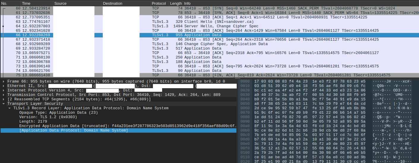 wireshark packet capture showing what looks like DoT traffic